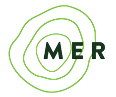 MER Logo trans