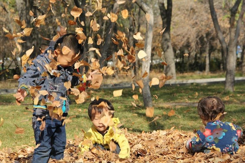 Family-Friendly Outdoor Activities for Fall