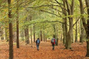 MER-outdoor-activities-for-fall-nature-hikes