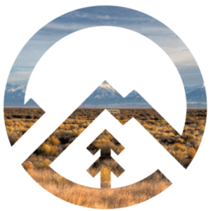 RMFI logo
