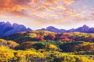 MER favorite locations to view fall foliage in colorado