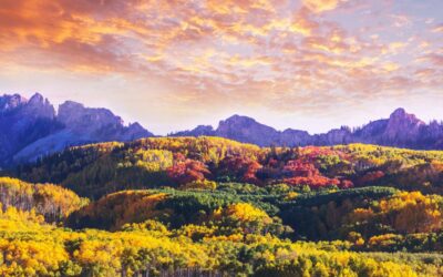 Best Places to View Fall Foliage in Colorado