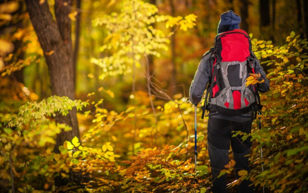 Best Fall Hikes in Colorado Springs to Experience Colorful Foliage