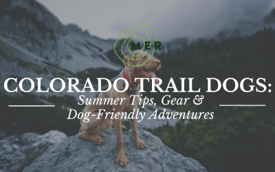 Colorado Trail Dogs: Summer Tips, Gear & Dog-Friendly Adventures